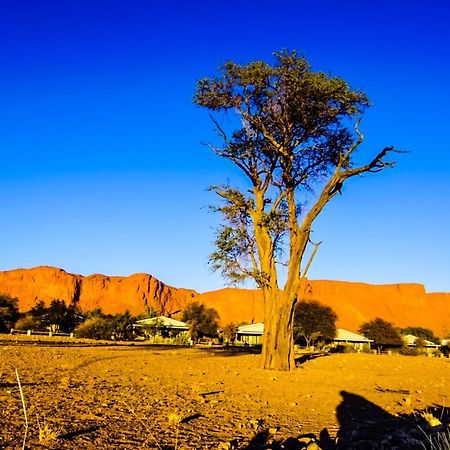 Namib Desert Campsite Solitaire Luaran gambar