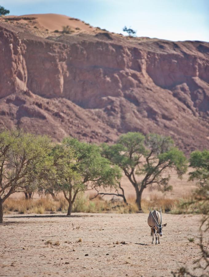 Namib Desert Campsite Solitaire Luaran gambar