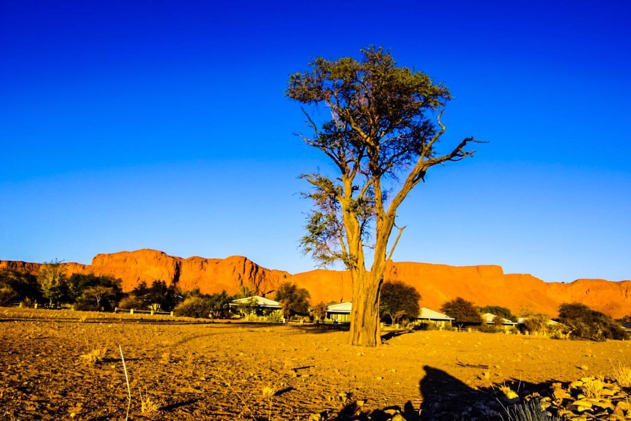 Namib Desert Campsite Solitaire Luaran gambar