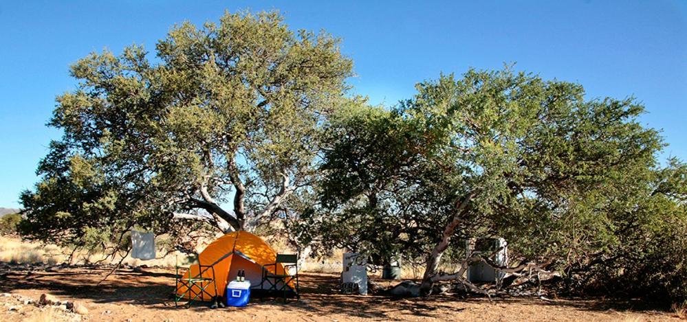 Namib Desert Campsite Solitaire Luaran gambar